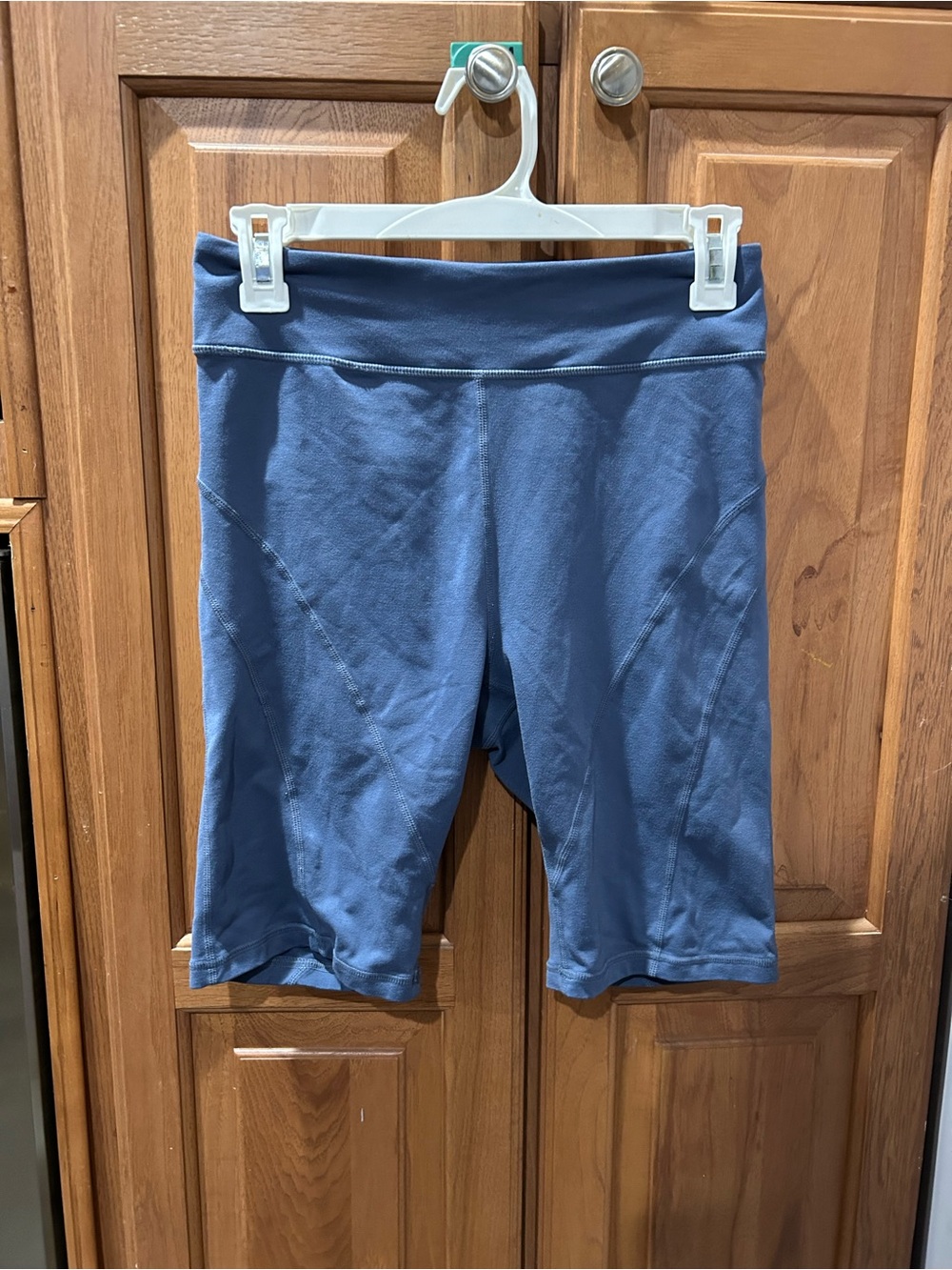 Free People Blue Stretch Bike Shorts